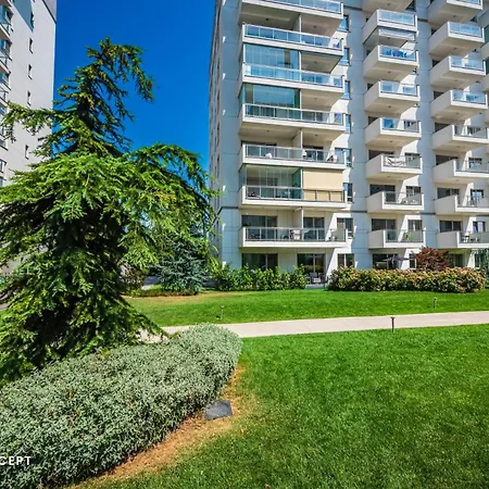 Luxury With Terrace And View