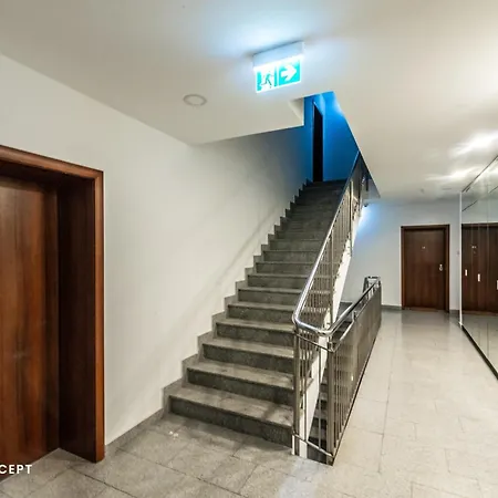 Luxury With Terrace And View Apartment *